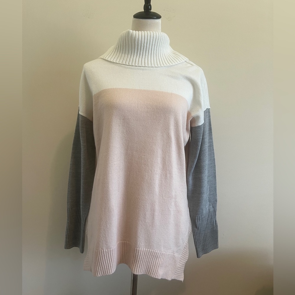 89th & Madison Turtleneck Sweater